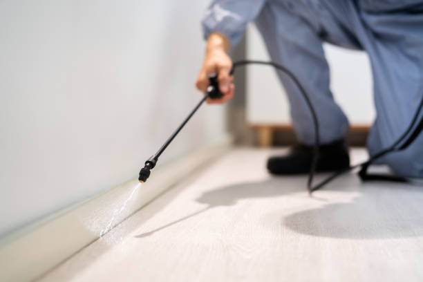 Bed Bug Pre-Treatment Preparation Assessment in East Glenville