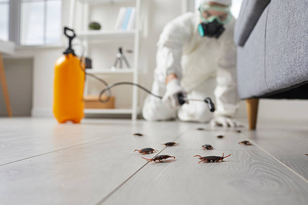 Post-Treatment Bed Bug Interceptor Monitoring in East Glenville