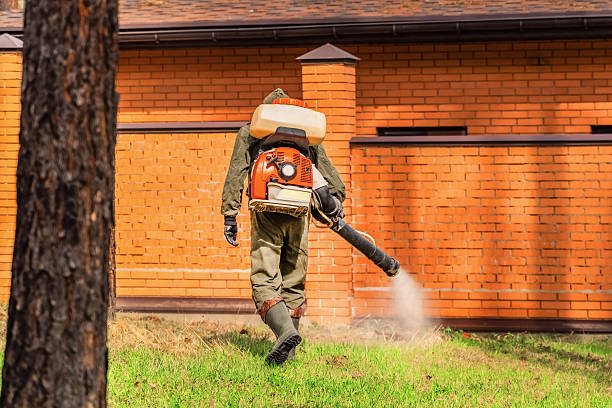 Bed Bug Clearance Verification and Documentation in East Glenville